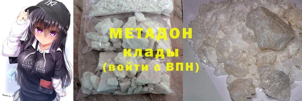 прущие грибы Баксан