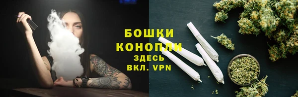 прущие грибы Баксан