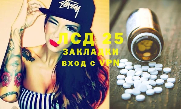 прущие грибы Баксан