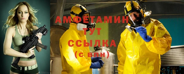 прущие грибы Баксан