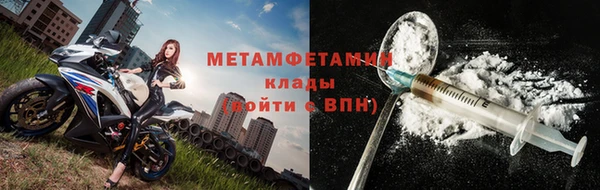 прущие грибы Баксан