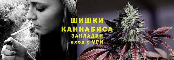 прущие грибы Баксан