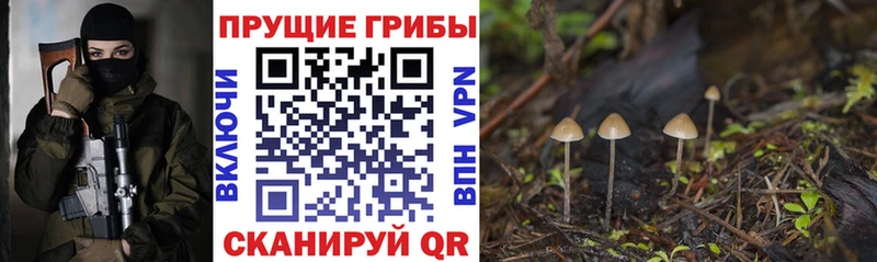 Галлюциногенные грибы ЛСД  Хадыженск 